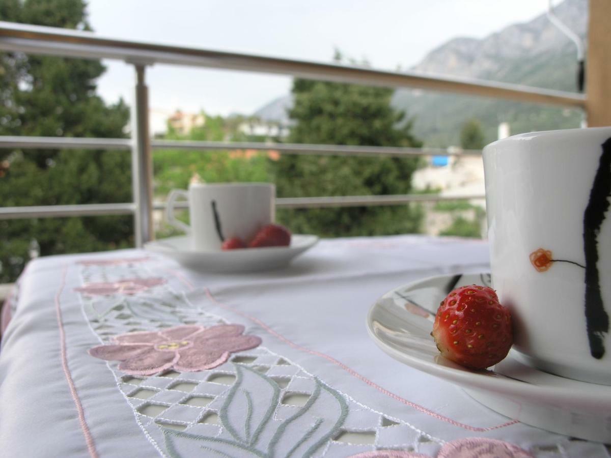 Musa Apartment 格拉达茨 外观 照片